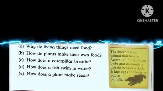 Oxford amazing science class 2 unit 1 solved exercise