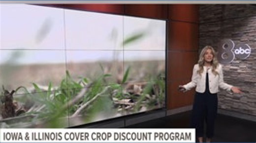Enrollment opens in Iowa, Illinois cover crop insurance discount programs