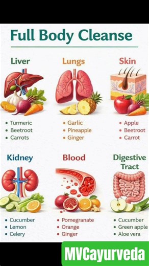 Natural Detox Plan 🔥 Clean Your Body from Inside|Stop Toxins ❌ Start Detox ✅ Full Body Cleanse Guide