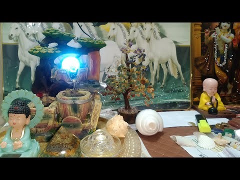 शंख के प्रकार और उनकी उपयोगिता l types of conch and their benefits, @Geo Ghumakkad