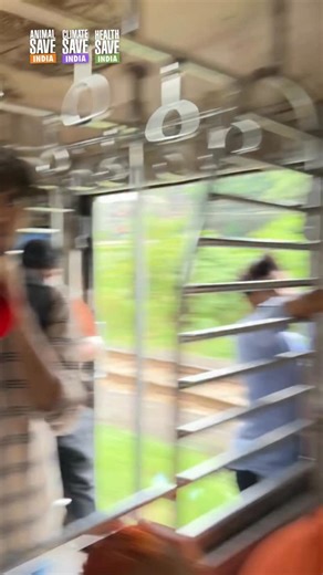 33K views · 5K reactions | Why should we eat animals when they, too, get their nutrition from plants? | Animal Climate and Health Save Foundation | Facebook