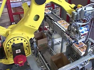 Case packer for cartons | Vertical and horizontal case packing