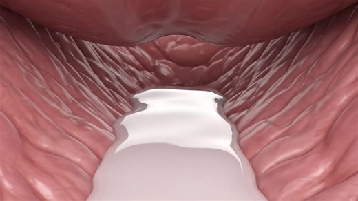 Understanding the Normal Baby Delivery Process