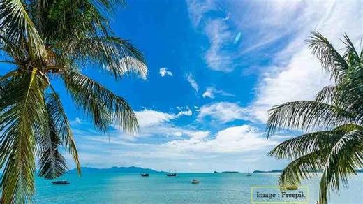 Goa Liberation Day 2024 : क्यों मनाया जाता है गोवा मुक्ति दिवस, जानें इतिहास