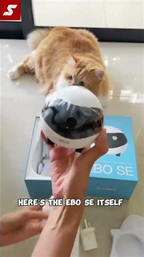 Unboxing time! Meet the Enabot EBO SE Wireless Pet Camera Robot 📦🤖✨#petcamera #singaporepets