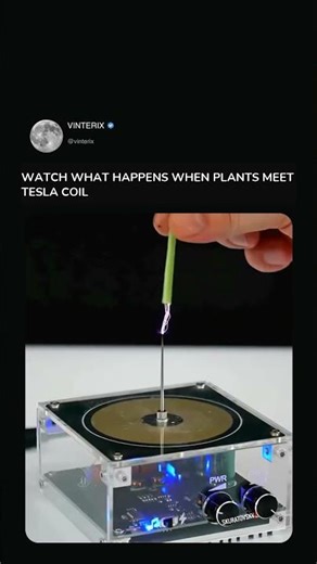 High-frequency electromagnetic fields affect plant tissues through moisture and dissolved...
