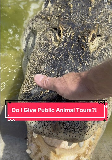 Do I Give Public Animal Tours?! 🤔 ***FREE SHOW Jun 21, 3pm, Impact Day📍JUMP, Boise, ID