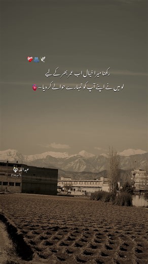 Exploring Aesthetic Trends in AMW Culture