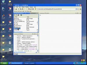 Parallel port monitoring using MATLAB
