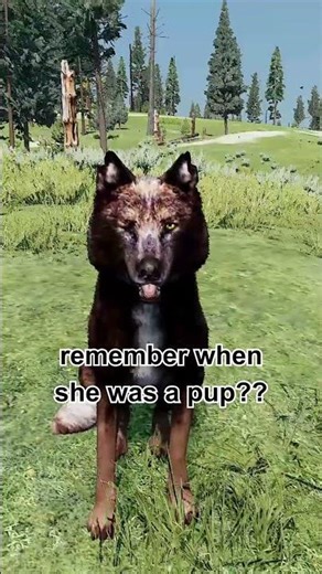 She was such an unattractive baby #wolfquest #funny #furry #shorts