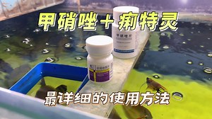 上次视频口误说错了，重新发一下甲硝唑＋痢特灵最详细的使用方法