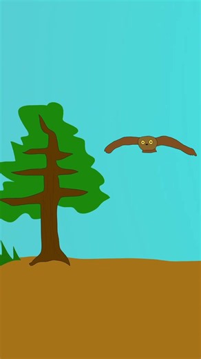 Owl | 🦉 | Toon Boom Harmony Animation