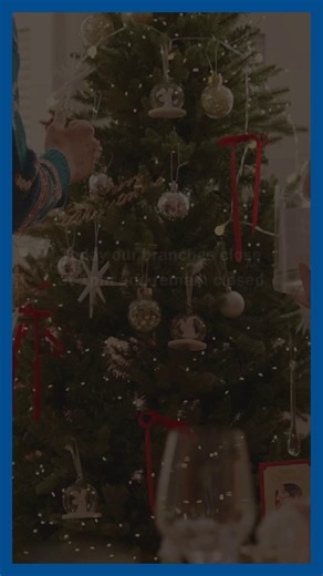 Our branches will close early at 1:00 p.m. today, December 24, and will remain closed all day tomorrow, December 25, so our team can celebrate with loved ones. We wish you a holiday filled with peace, love, and joy! Our digital banking services are still available to help with all your banking needs, and we look forward to serving you again during regular business hours on Friday, December 26. | Robins Financial Credit Union