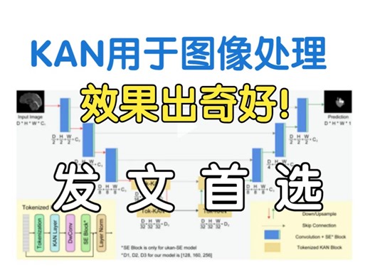 发文首选：KAN用于图像处理！效果炸裂好，最新9种创新思路