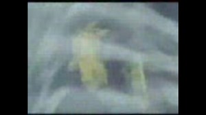 劇場版ポケモン「アルセウス　超克の時空へ」　予告編