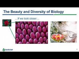 Metabolic Pathway Engineering Using Combinatorial DNA assembly