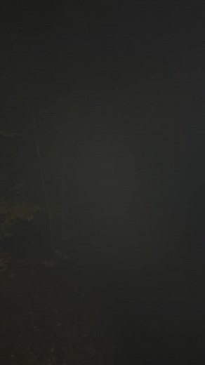 Good night all. | Eric Orff