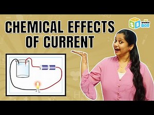 Chemical Effects of Electric Current | Grade 8 Science Experiments | Kids Easy Science | Sparkle Box