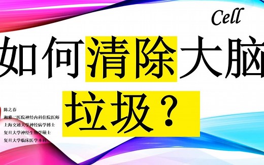 Cell—如何清除大脑中的垃圾？这种细胞和信号通路是关键！！