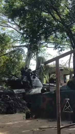 🇹🇭 Thai Army M48A5 hit a Cambodian tank, with ammunition cook-off and secondary explosions visible.December 2025I uploaded it again because this one doesn’t have background music.