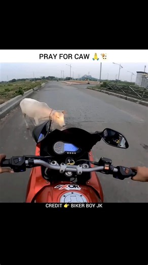 Caw Cr*shed 😔 #gulshanmotovlogs