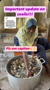 3.3K views · 91 reactions | IMPORTANT UPDATE!!! Dear clients and...