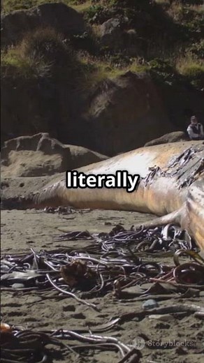 The Bizarre Science of Exploding Animals 💥🧬