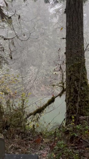 Net in a Tiny Home - Amazing ways to create more space in your space! #airbnb #cabin #cabinlife