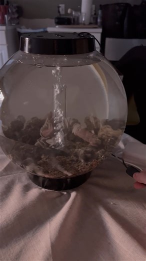 Watch Watch Before You Buy - Honest Review of Fish Tank on Amazon Live