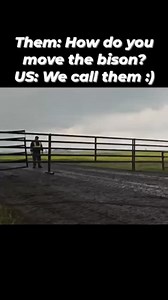 This video was taken last spring and give a unique perspective on how fast bison are. Let me know ow what you think | Big D Bison