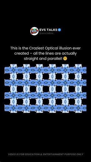 This Is the Craziest Optical Illusion 😳👀 | All Lines Are Actually Straight