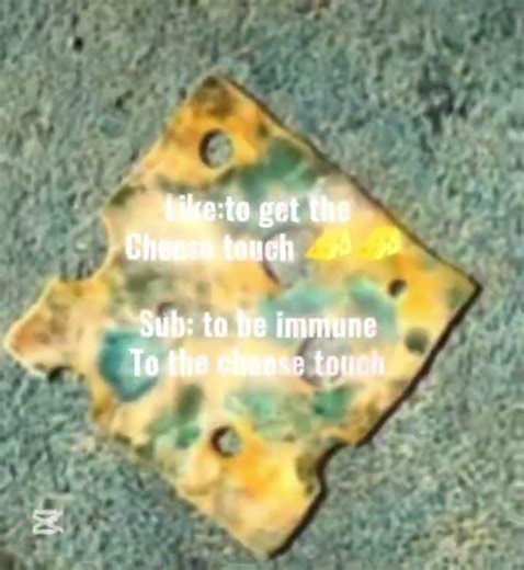 Day 12 of giving people the cheese touch and a vaccine to it 🧀🧀 #cheesetouch