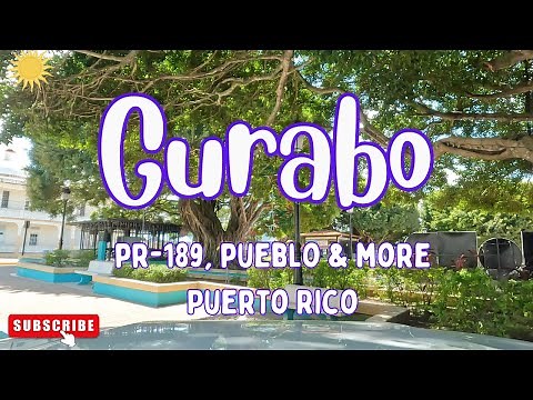 Gurabo, PUERTO RICO in 4K! PR 189, Pueblo Old Town & More (2024)