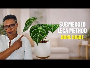 The Submerged LECA Method: Plants That Love it And Mistakes To Avoid