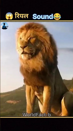 Lion Roar: Movie vs Reality! 🦁" #worldfact-b