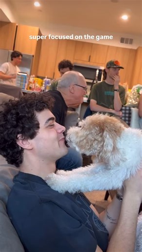 your daily dose of alexander stewart! on Instagram: "today’s real mvp: the doggy 😊 via @alexanderstewart / @sophierosemusic story 💙 #alexanderstewart #canadian #artist #singersongwriter #musician"