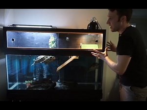Part 1: How to Build an Above Tank Turtle Basking Platform Dock DIY