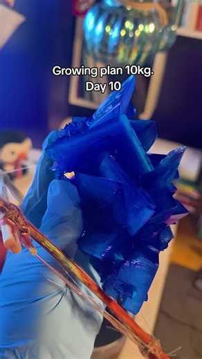 #chalcanthite #coppersulfate #diycrystal #bluecrystal #growcrystal