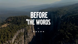 Before The Words