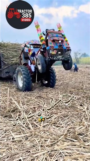 Fiat 640 as it works smoothly through the fields #foryou #seriouslyfun #newline #themotto #tractor