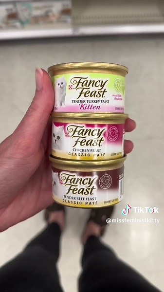 Best Wet Foods for Kibble-Addicted Cats