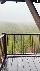 Hyssna forest resort växer – två nya boenden klara. | Markbladet