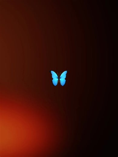 TikTok · miss_lex.anne05