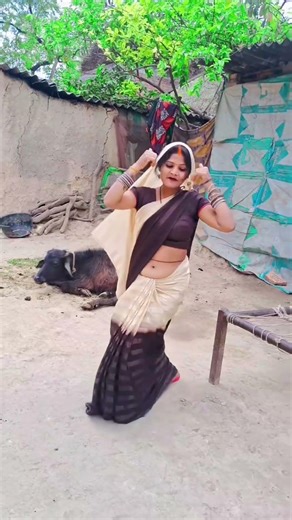 Tarashid kajava. #dance #song #tranding #viralvideos