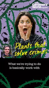 4.7K views · 19 reactions | Missing people, crimes and murders... How...