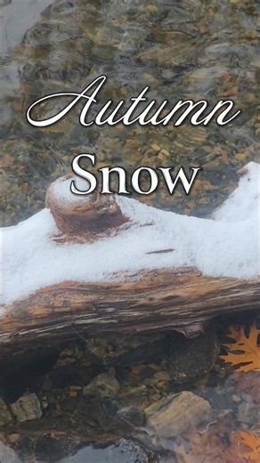 Listen to Autumn’s Snowfall by the Lake❄️🍁🍂