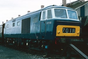 British Rail class 35 Hymek diesel locomotive D7018, Didcot MPD, 1981