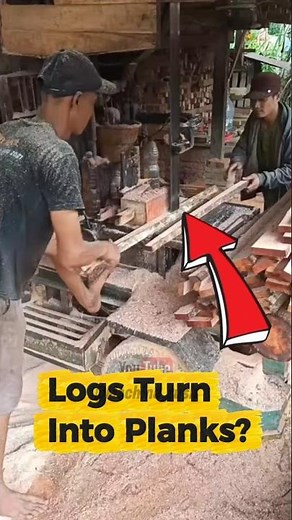 Sawmill Wood Cutting Process | Turning Logs into Perfect Planks