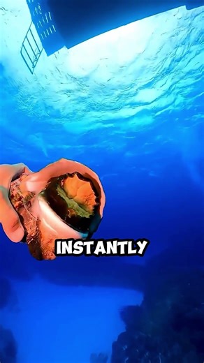 glowing uplones see shell