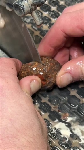 She cut placement plays out perfectly! #agate #gem